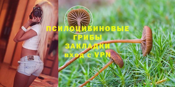 Альфа ПВП Алексеевка