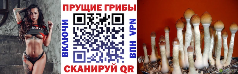 Псилоцибиновые грибы мицелий  Оханск 